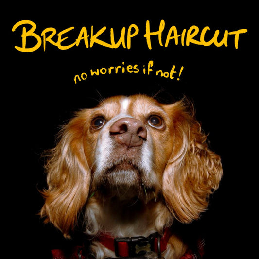 Breakup Haircut - No Worries If Not