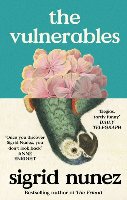Nunez, Sigrid - The Vulnerables