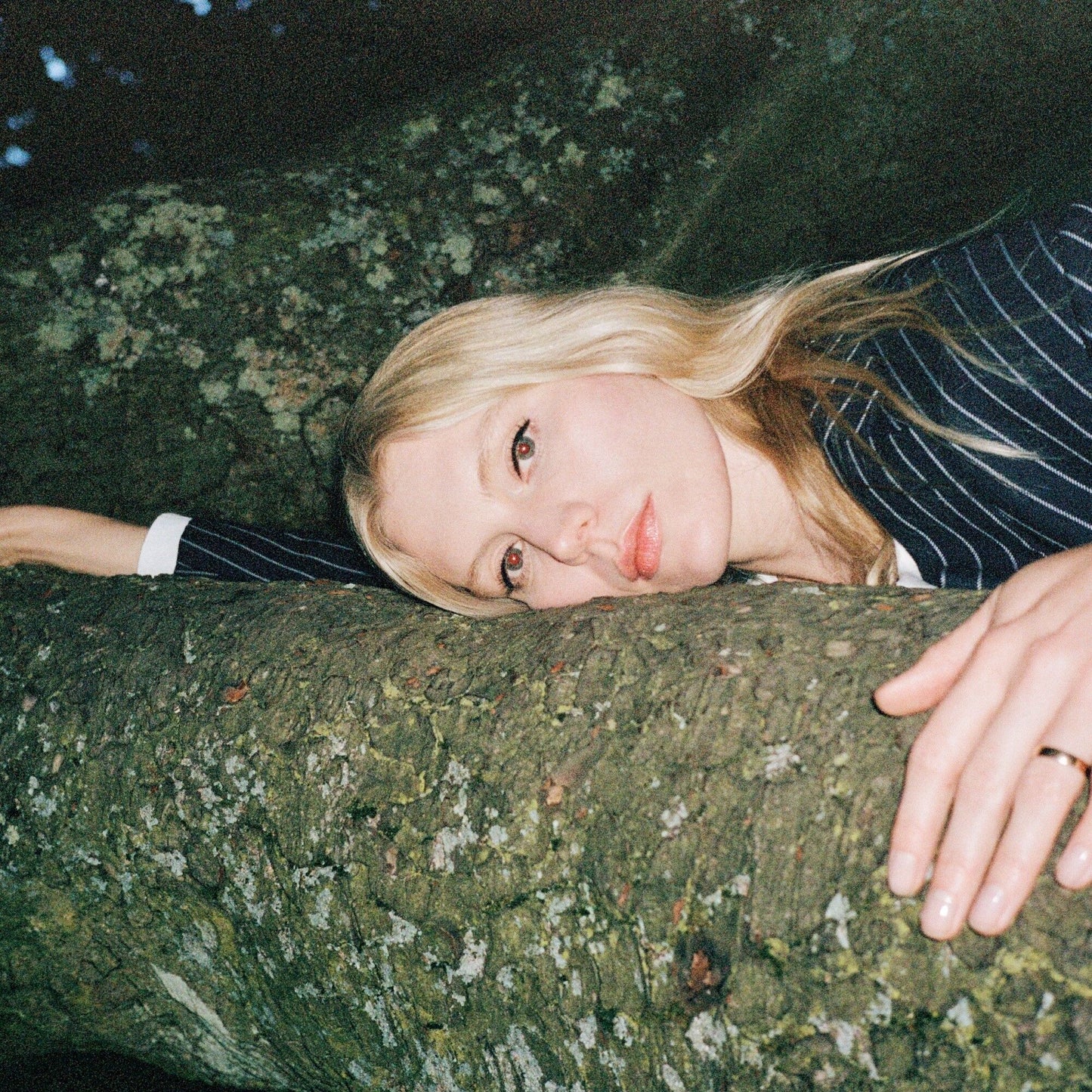 Costelloe, Alice - Move On With The Year