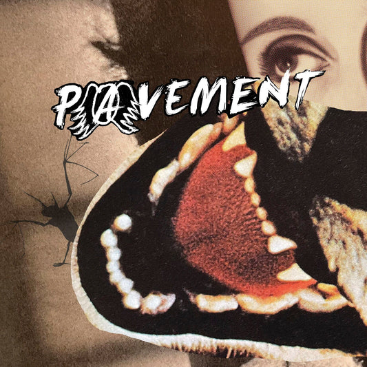 Pavement - Hecklers Choice: Big Gums and Heavy Lifters - A Pavement Collection