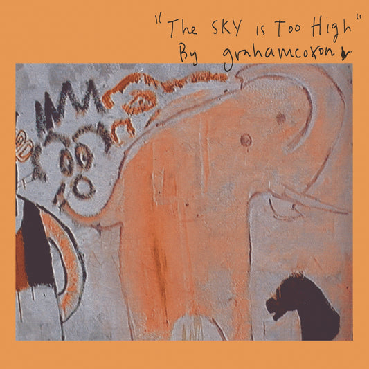 Coxon, Graham - The Sky Is Too High