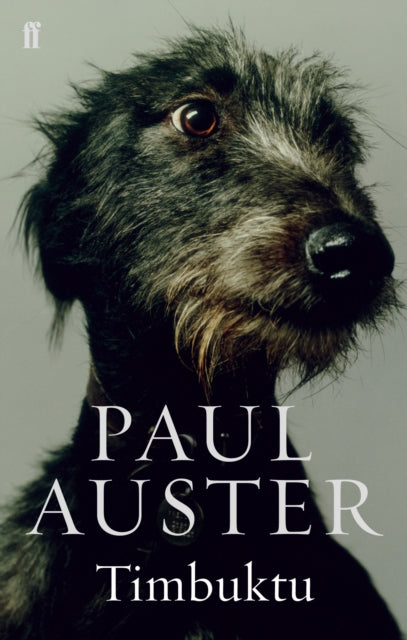 Auster, Paul - Timbuktu