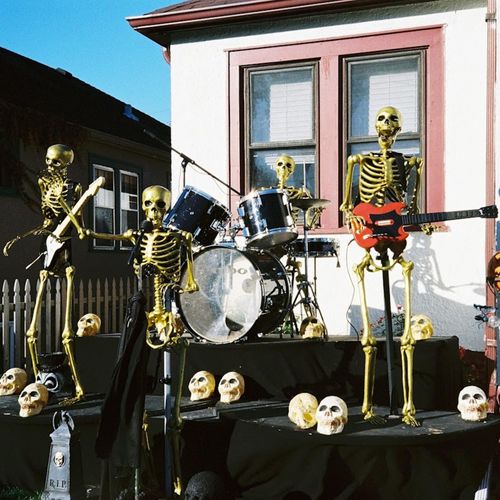 Oso Oso - Life Till Bones'