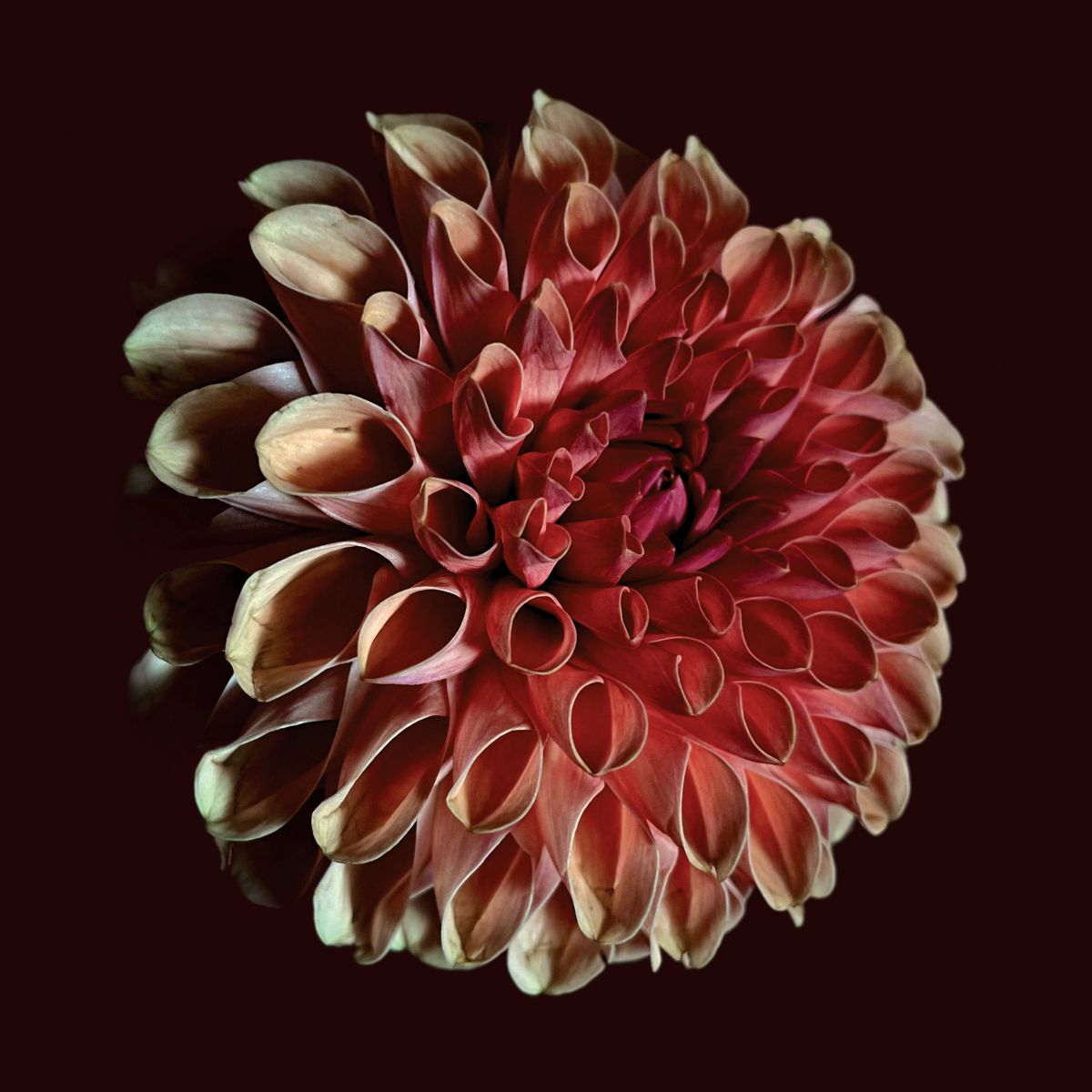 Moss, Jessica - Unfolding