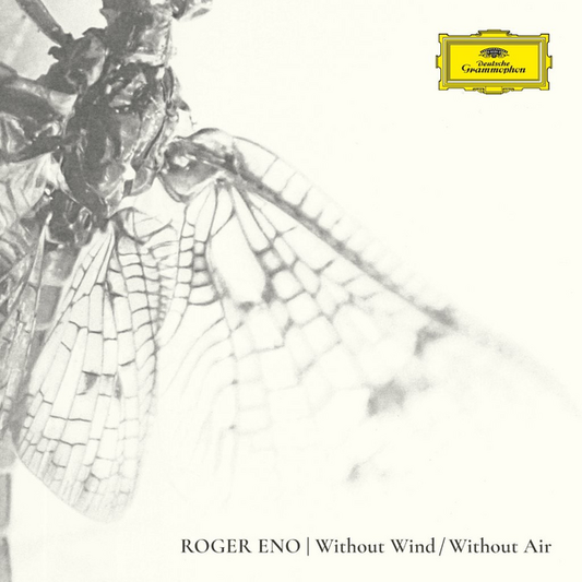 Eno, Roger - Without Wind / Without Air