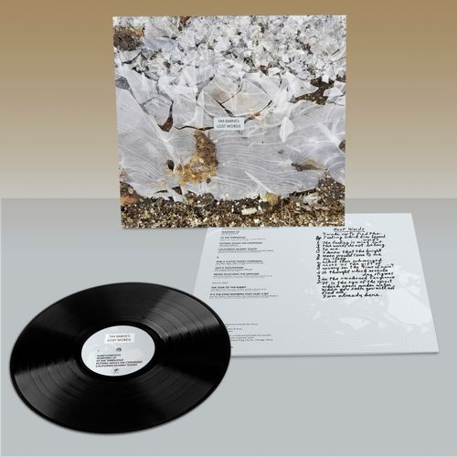 Barnes, Tim - Lost Words