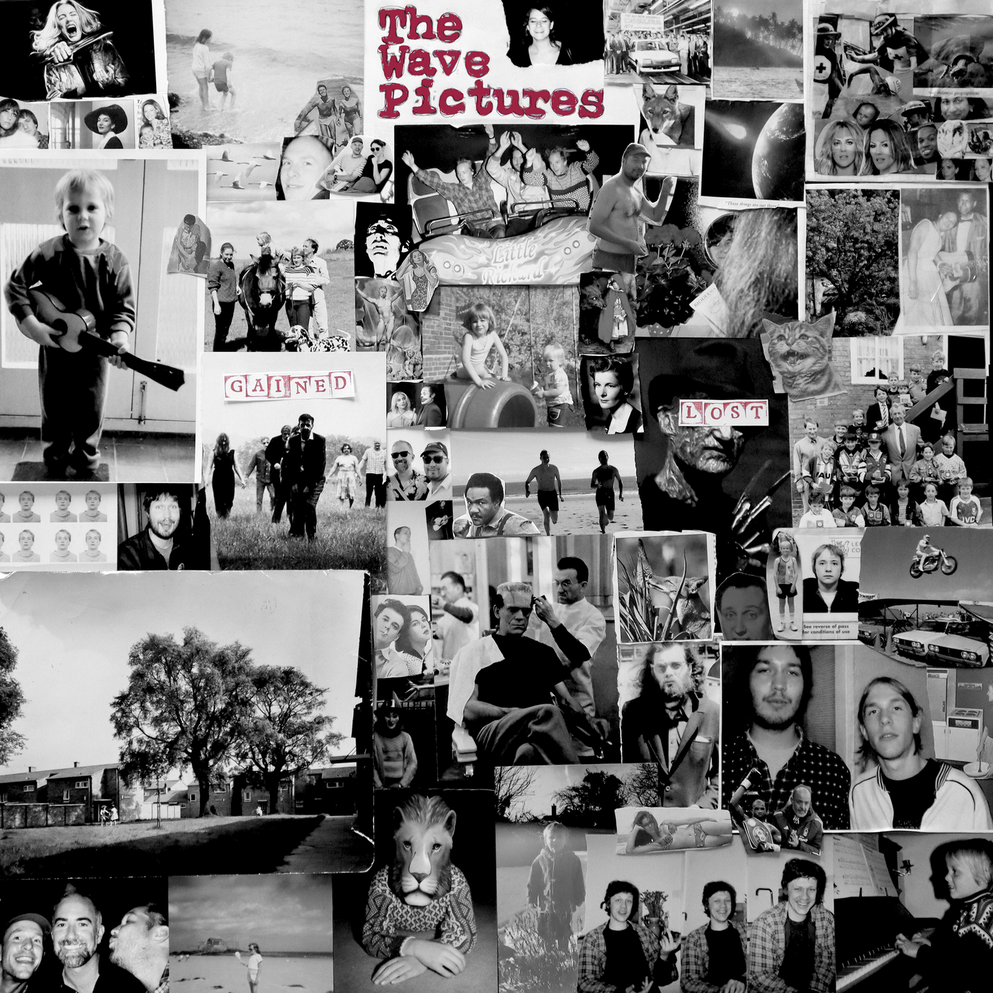 Wave Pictures, The - Gained/Lost