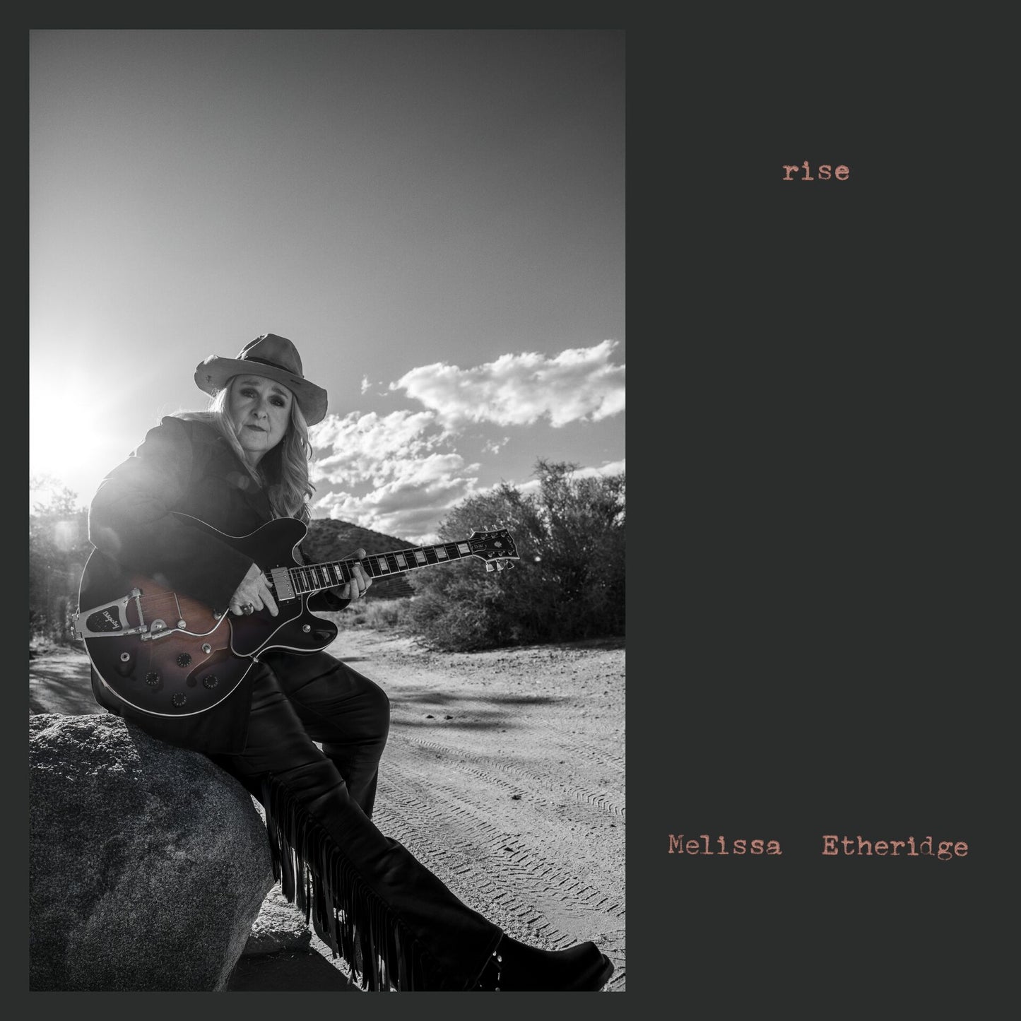 Etheridge, Melissa - Rise
