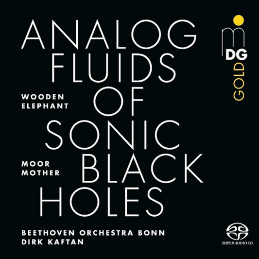 Moor Mother - Analog Fluids of Sonic Black Holes