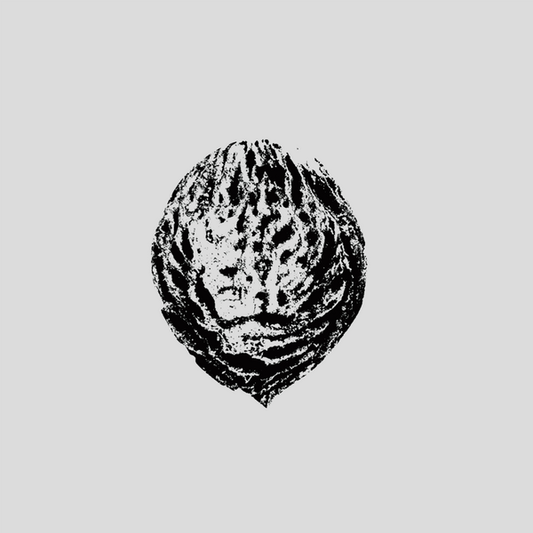 Black Lips - Bebop Armageddon (Detours & Offcuts From Season Of The Peach)