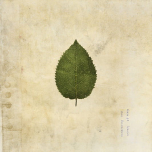 Boxer Rebellion, The - The Cold Still (2024 Repress)