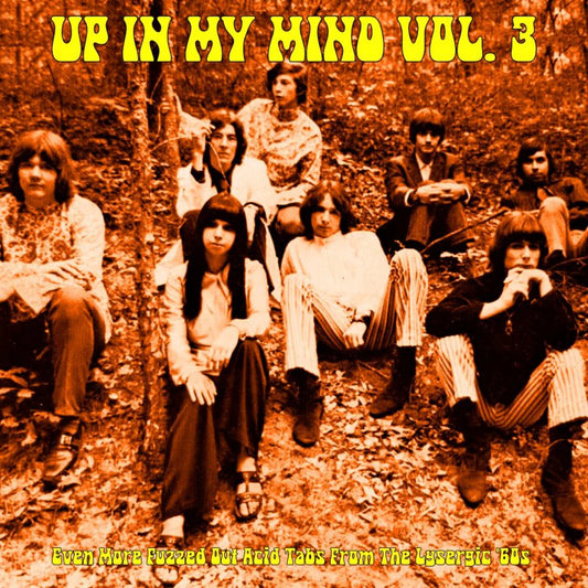 Up In My Mind Vol. 3: Even More Fuzzed Out Acid Tabs From The Lysergic 60s - Various Artists