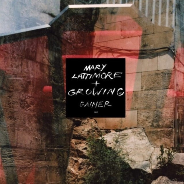Lattimore, Mary & Growing - Gainer