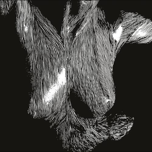 Oceansize - Self Preserved While The Bodies Float Up (15th Anniversary Edition) (National Album Day 2025)