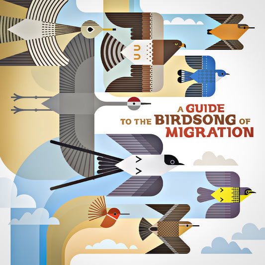 Guide to the Birdsong of Migration, A - Various Artists