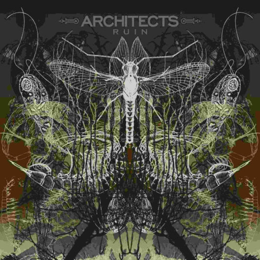 Architects - Ruin