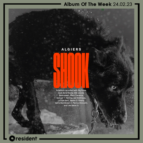 Algiers - Shook