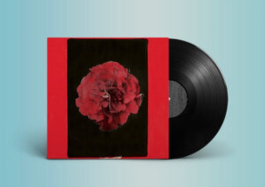 Activity - A Thousand Years In Another Way