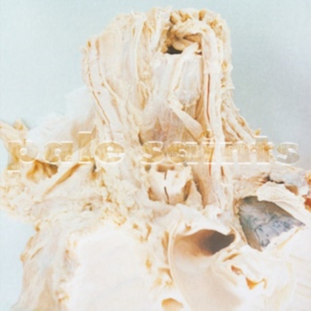 Pale Saints - In Ribbons (Expanded 30th Anniversary Reissue)