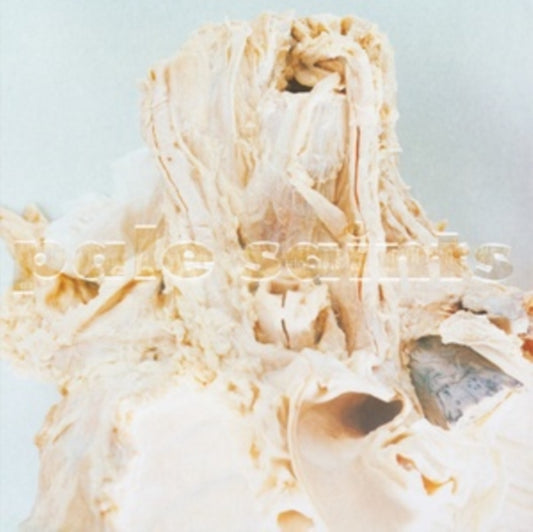 Pale Saints - In Ribbons (Expanded 30th Anniversary Reissue)