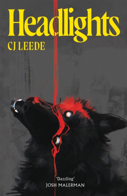 Leede, CJ - Headlights
