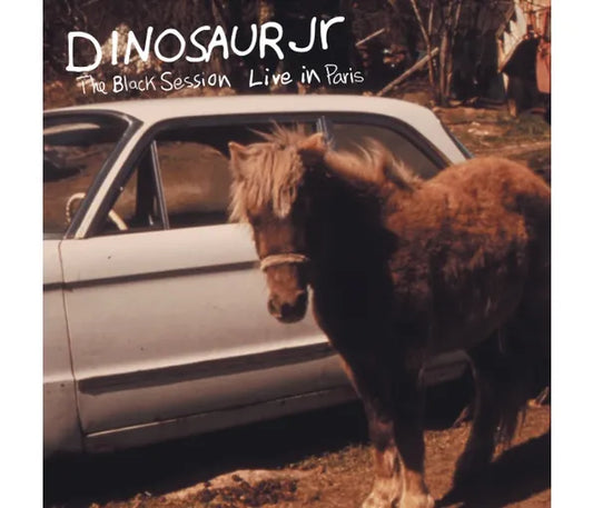 Dinosaur Jr. - The Black Session (Live In Paris 1993)