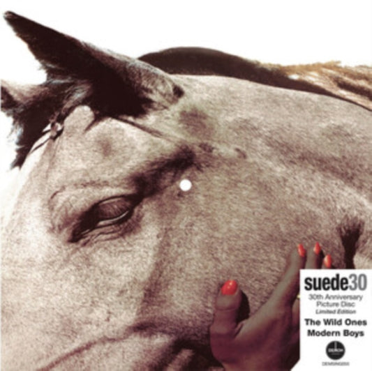 Suede - The Wild Ones (30th Anniversary Edition)