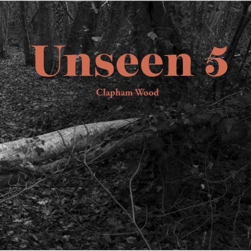 Unseen Zine - Unseen 5 - Clapham Wood
