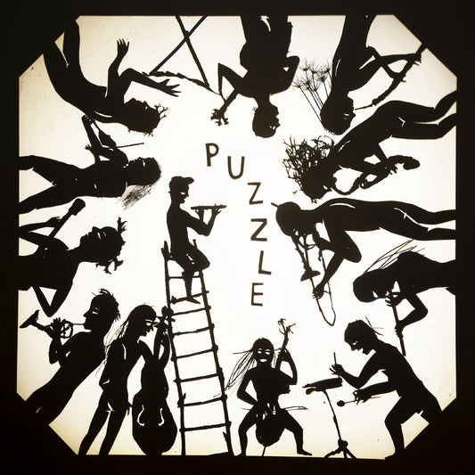 Second Hand Orchestra, The - Puzzle
