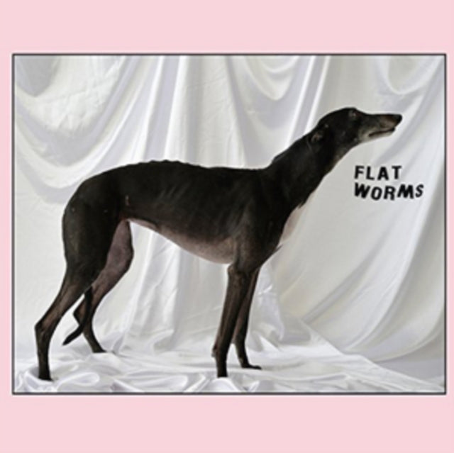 Flat Worms - Flat Worms (2022 Repress)