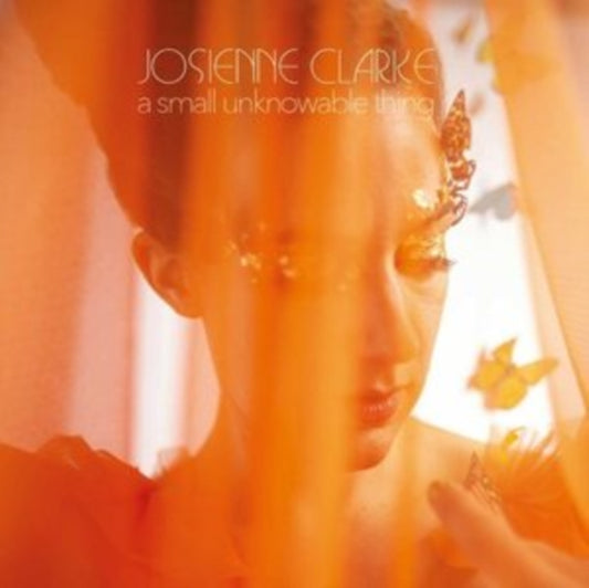 Clarke, Josienne - A Small Unknowable Thing