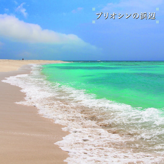 Isoda, Ken-ichiro - Beach of the Pliocene
