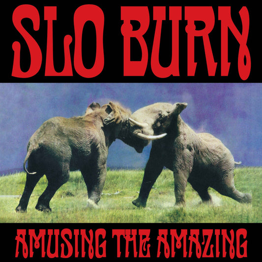 Slo Burn - Amusing the Amazing (Black Friday 2025)