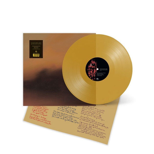 Besnard Lakes, The - The Besnard Lakes Are The Ghost Nation