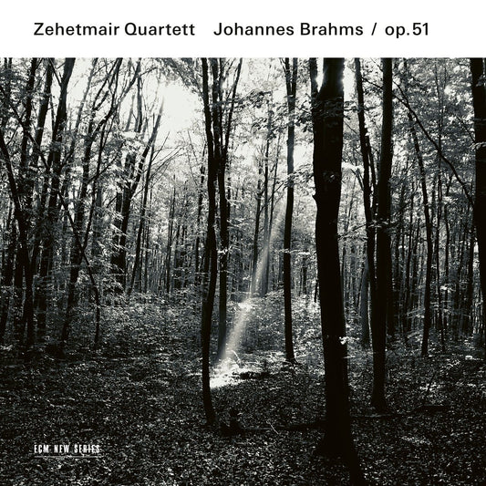 Zehetmair Quartett - Johannes Brahms / op.51