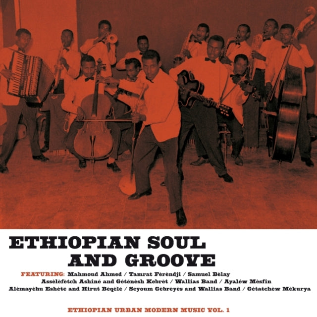Ethiopian Soul And Groove - Various Artists