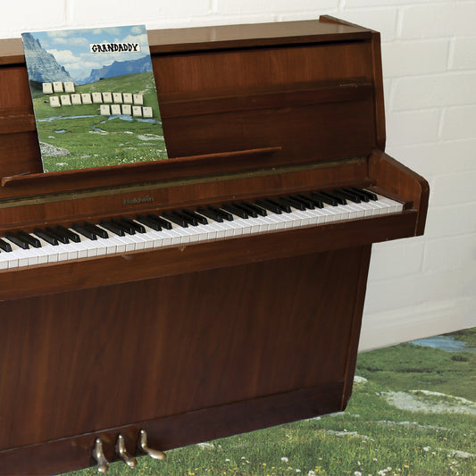 Grandaddy - The Sophtware Slump ..... on a wooden piano (2026 Reissue)