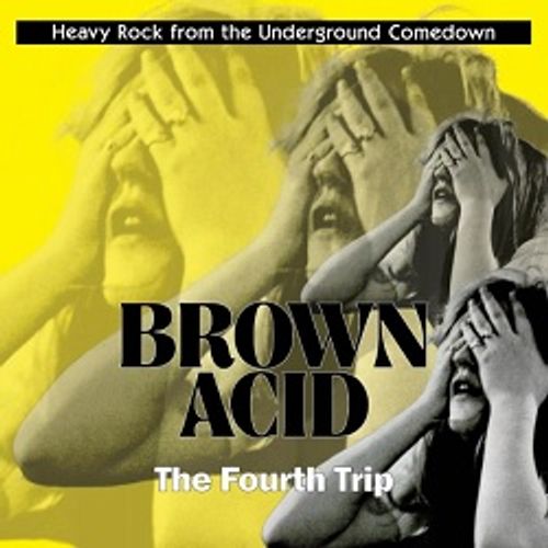 Brown Acid: The Fourth Trip - Various Artists