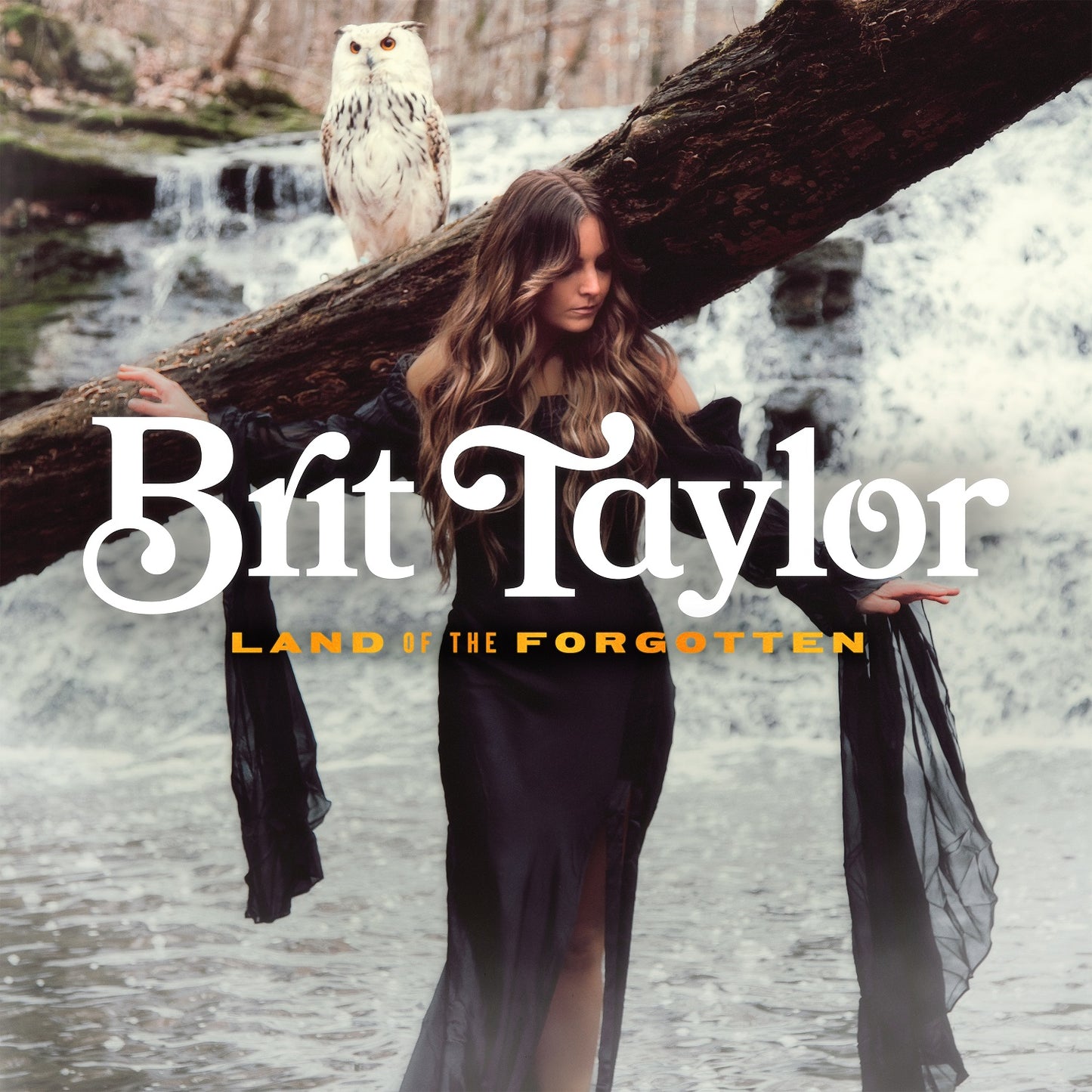 Taylor, Brit - Land Of The Forgotten