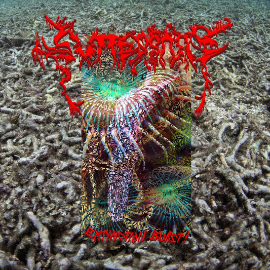 Guttersnipe (Tristwch Y Fenywod) - Extinction Burst!
