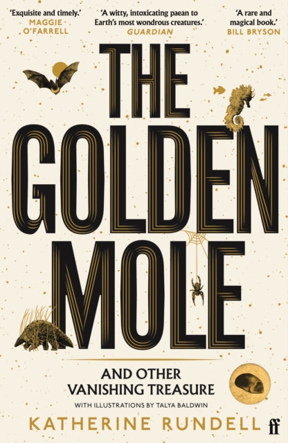 Rundell, Katherine - The Golden Mole