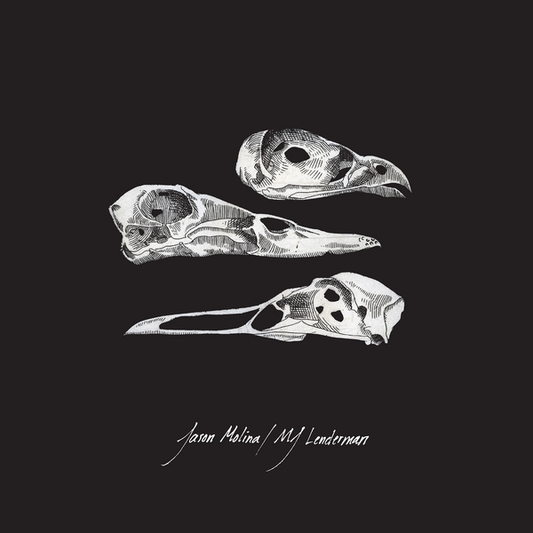 Molina, Jason / MJ Lenderman - The Last Three Human Words (Demo) / Just Be Simple (Cover)