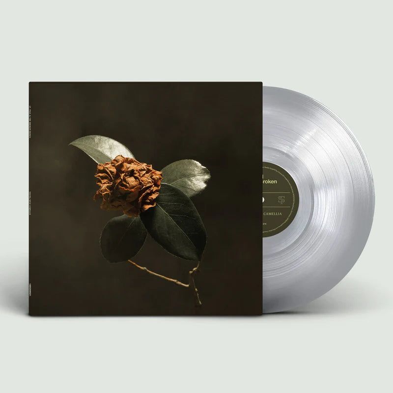 St. Paul & The Broken Bones - Young Sick Camellia (2025 Repress)