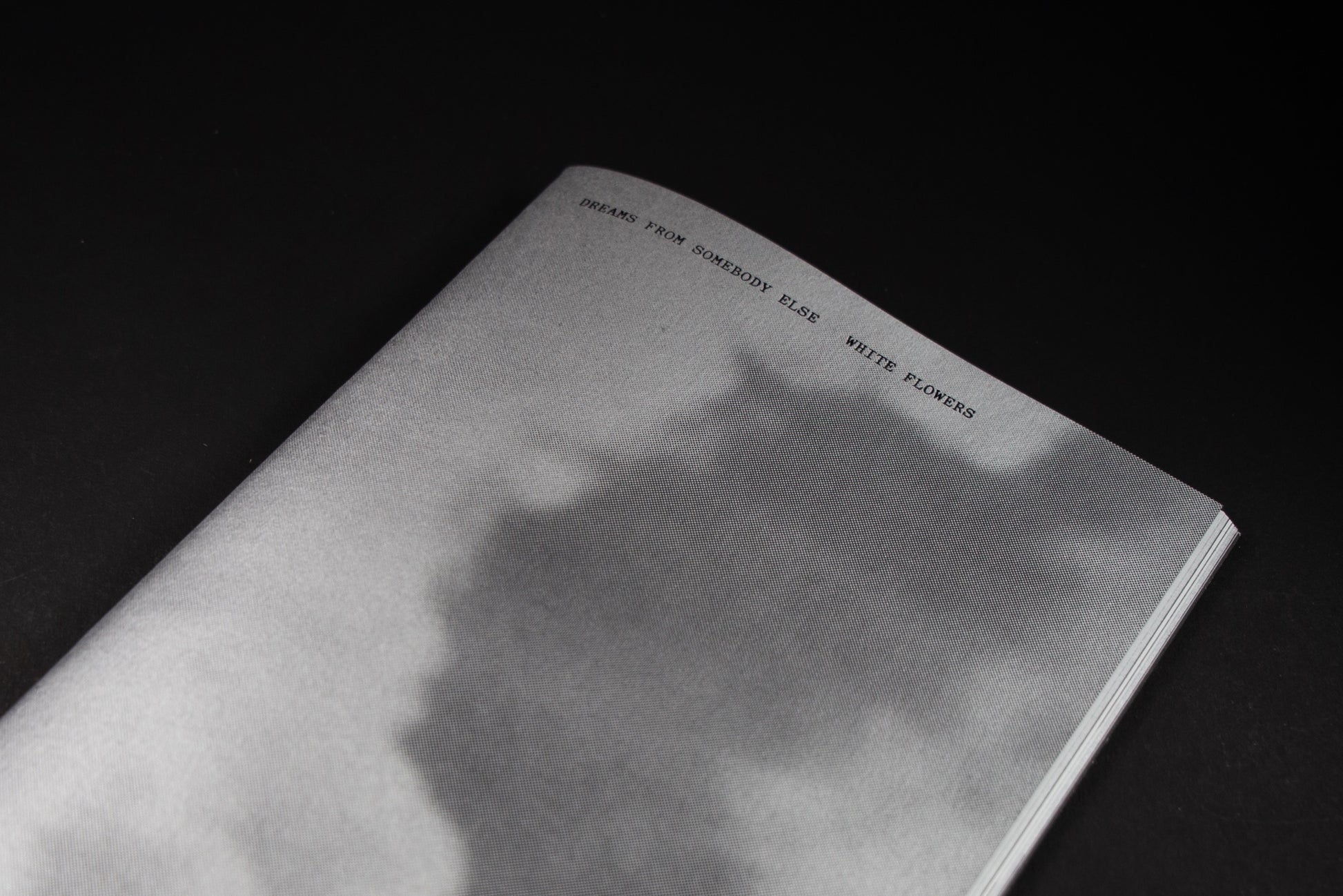 White Flowers - Dreams From Somebody Else Art Book